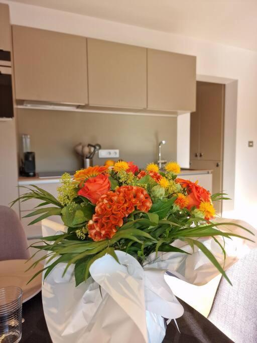 Magnifique studio au bord du lac du Bourget à proximité d'Aix-les-Bains - Appartement 1 Chambre - 46