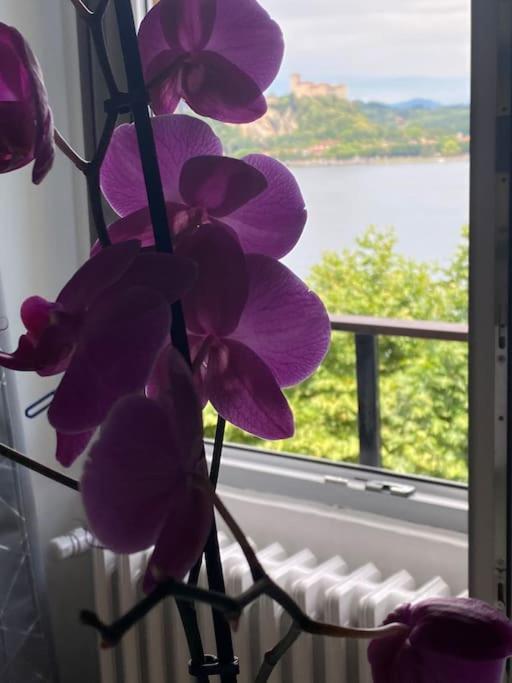 Babalù Con vista lago - Appartamento con 1 Camera da Letto - 2