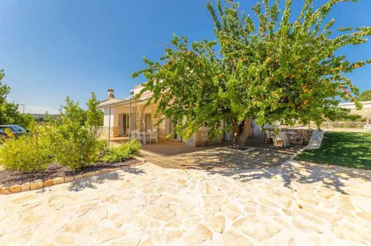 Casale dolina verde . - Villa con 2 Camere da Letto - 48