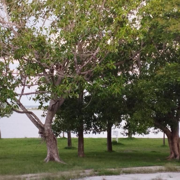 LAS ROSAS- Centro - 3 cuadras de la playa - Maisonette - 22