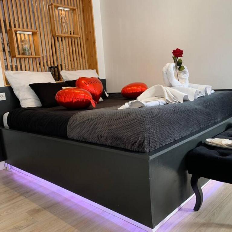 Love Room - Venusia Grenoble - Apartamento de 1 dormitorio - 4