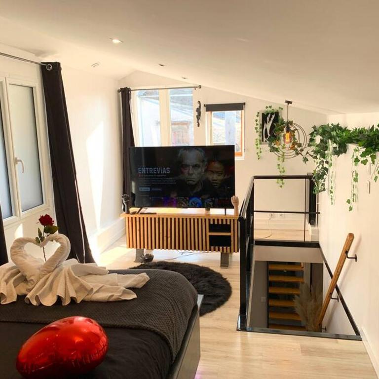 Love Room - Venusia Grenoble - Apartamento de 1 dormitorio - 6