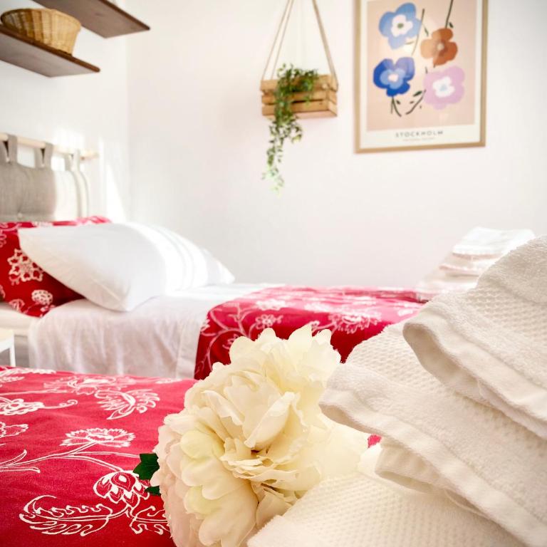 Casa Micca - Cielo Terra - Casa con 4 camere da letto - 54
