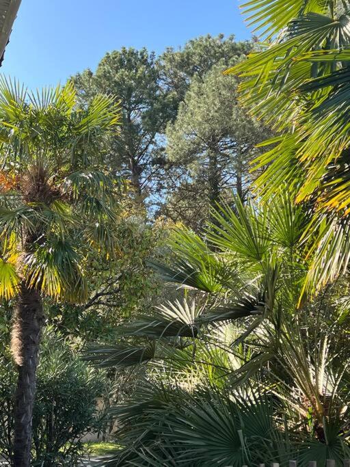 Villa proche Arcachon, Dune, Plages - Casa de 4 dormitorios - 23