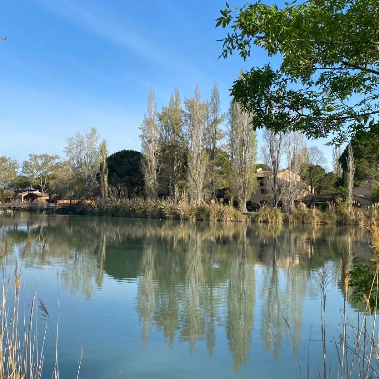 Joli Appartement 27m2 Terre d'Ocre en village vacances en Camargue - Appartamento con 1 Camera da Letto - 41