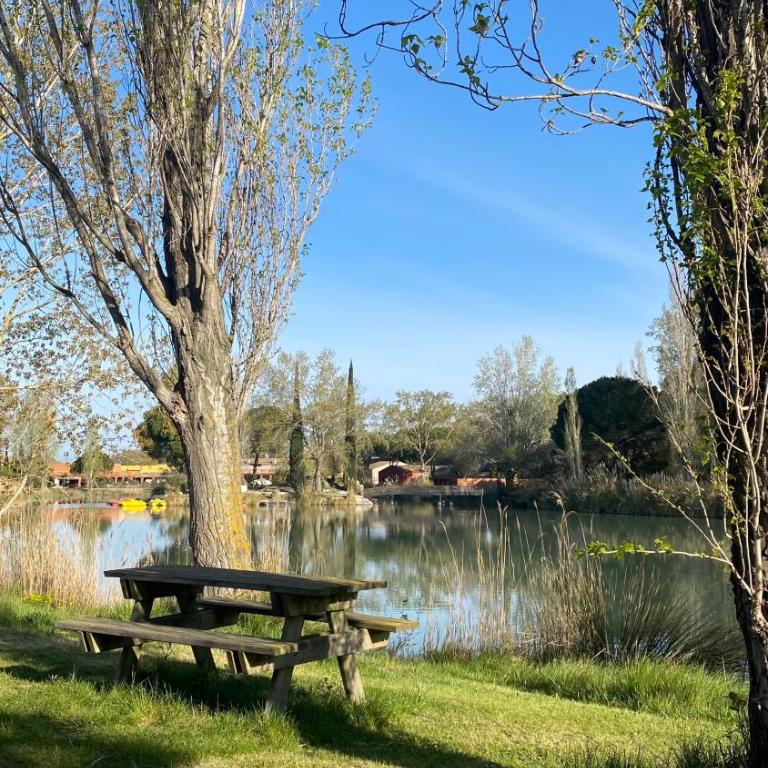 Joli Appartement 27m2 Terre d'Ocre en village vacances en Camargue - Appartamento con 1 Camera da Letto - 7