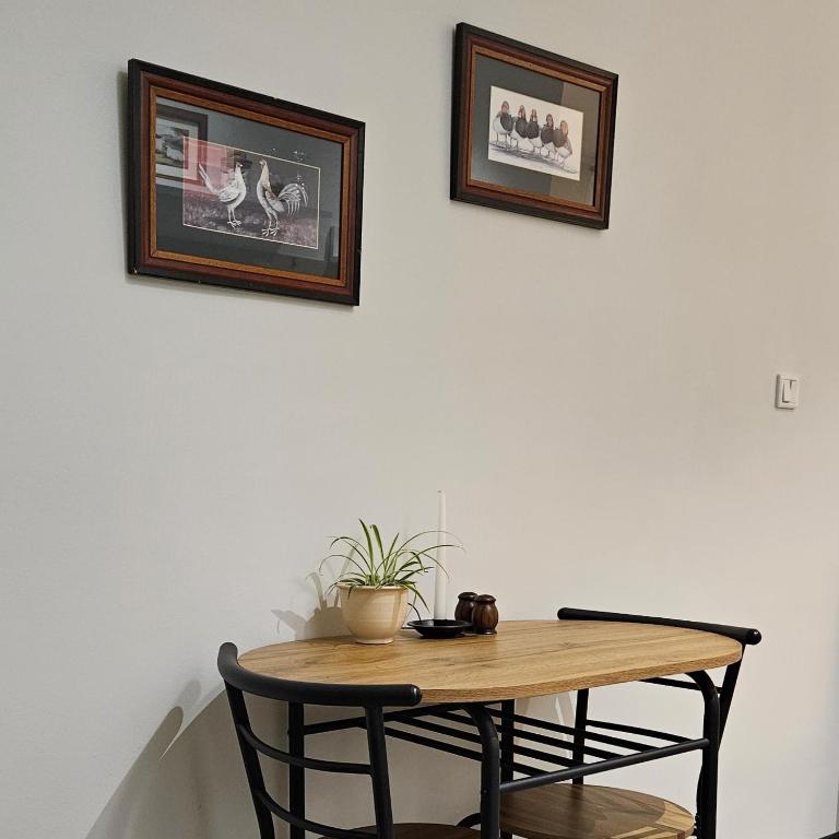Moonrise Apartment - Studio Apartment - 24