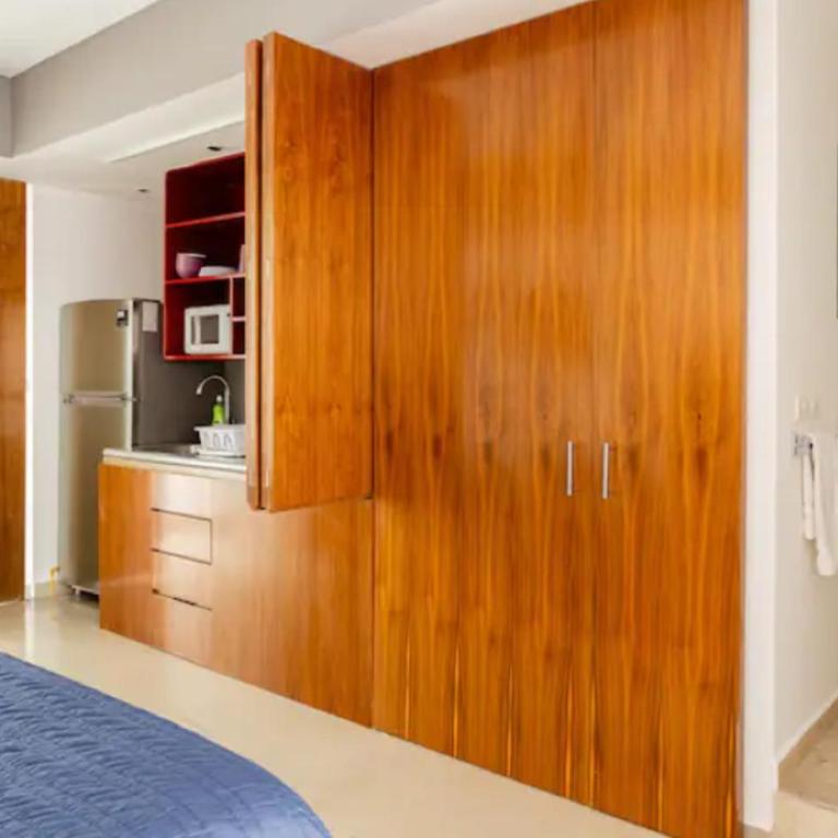 Polanco Beautiful apartment 1parking-1BR-1BA - Apartamento de 1 dormitorio - 16