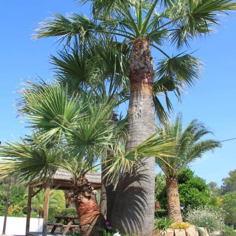 Harbers zonvakanties chalets met airco camping Leï Suves Roquebrune sur Argens - Chalet 2 Chambres - 12