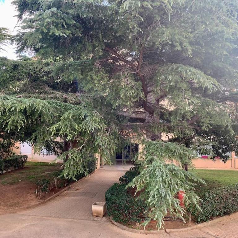 Coup de cœur à Sanary sur Mer - Appartement 1 Chambre - 26