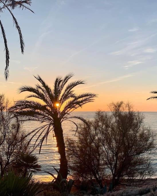 Coup de cœur à Sanary sur Mer - Appartement 1 Chambre - 32