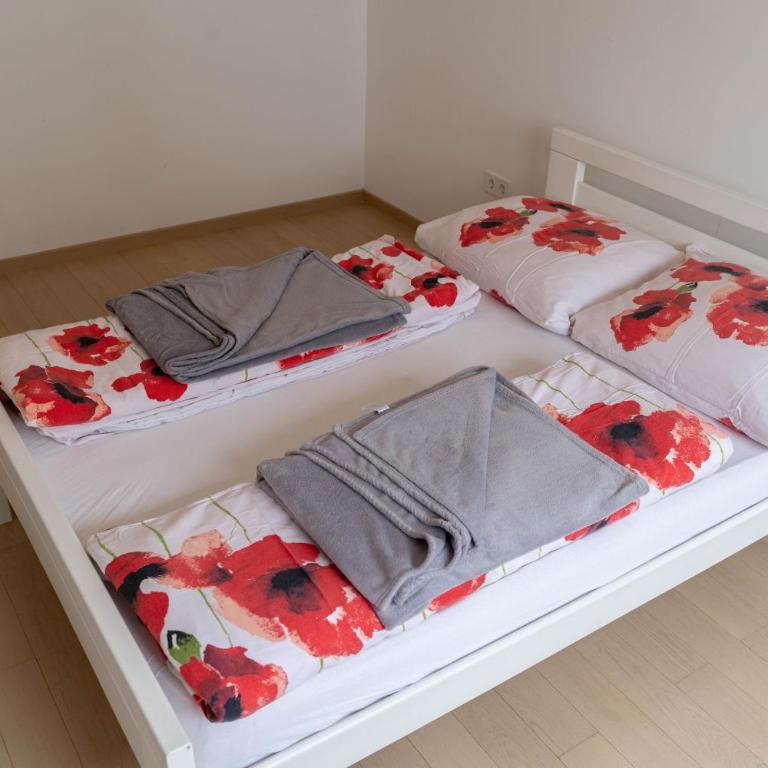 Apartman SLOL - Apartman sa 2 Spavaće Sobe - 9