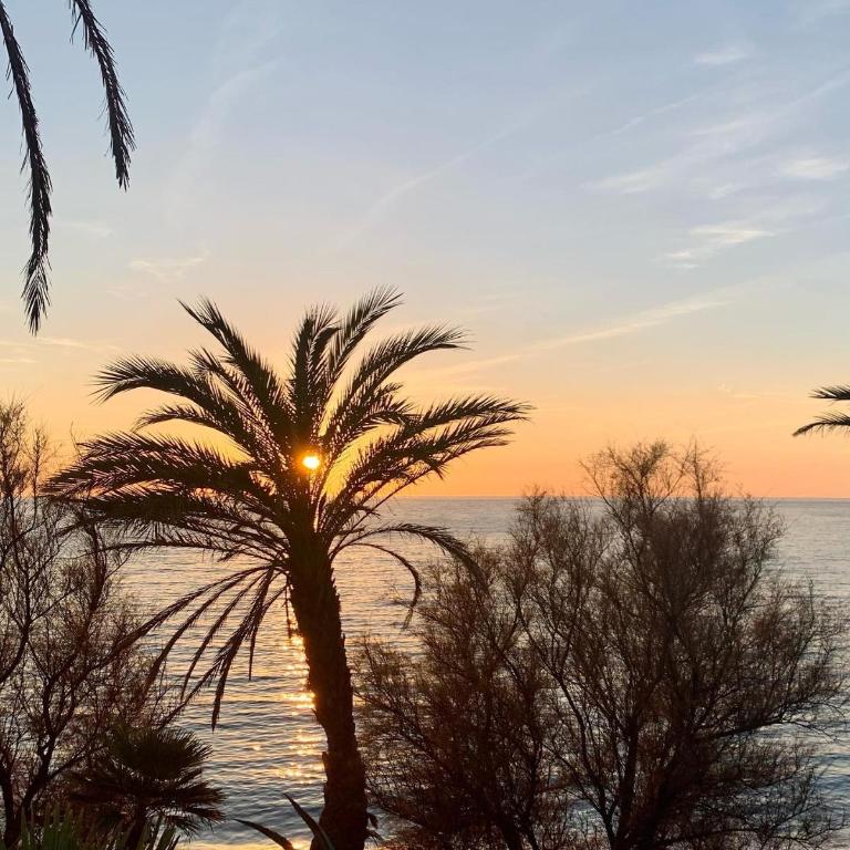 Studio Sanary-sur-Mer proche gare - Apartment mit 2 Schlafzimmern - 44