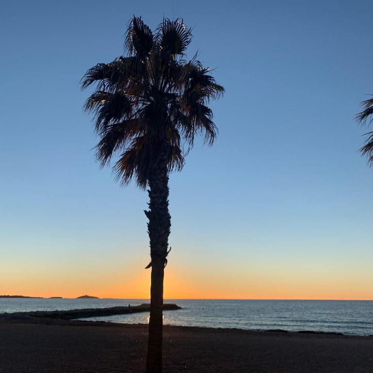 Studio Sanary-sur-Mer proche gare - Apartment mit 2 Schlafzimmern - 32