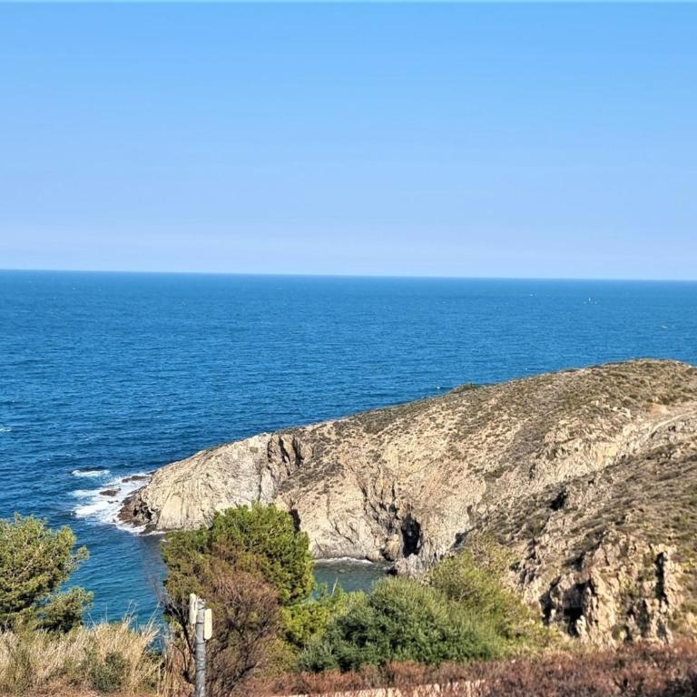 Appartement T2 à Banyuls, terrasse, parking, WIFI - FR-1-309-373 - Appartement 1 Chambre - 1