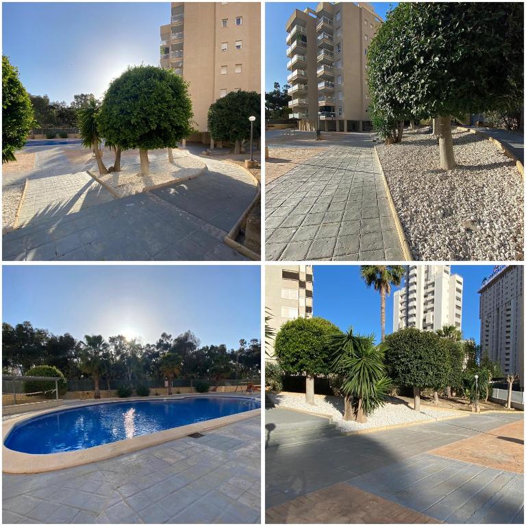 Casa Bendita - LUXURY APARTMENT BENIDORM - One-Bedroom Apartment - 55