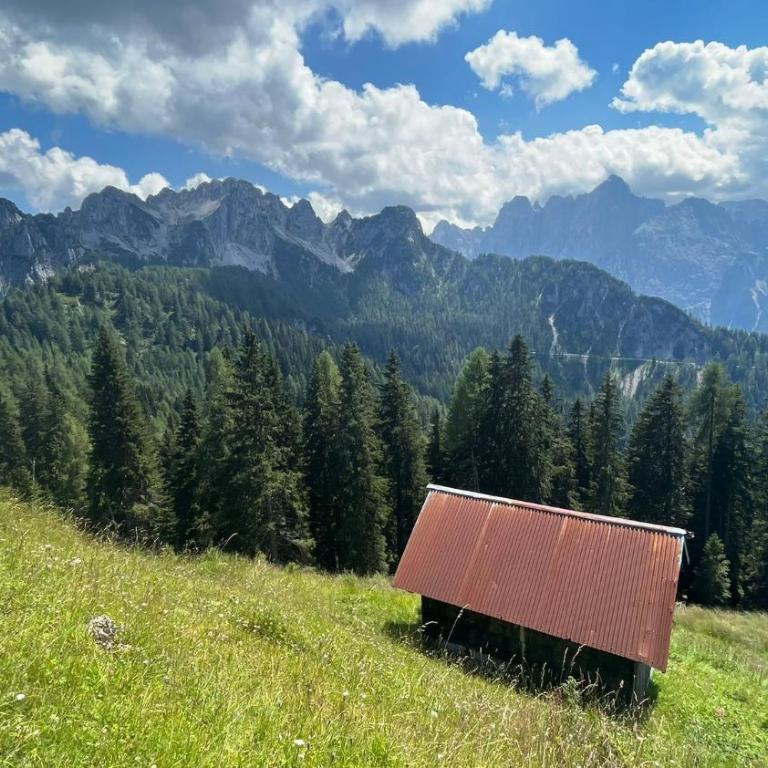 Ferienwohnung Karasek mit Seeblick - Apartment mit 1 Schlafzimmer - 40