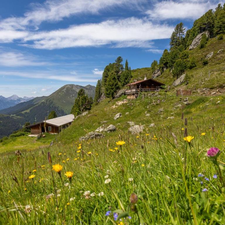 Landhaus Kostenzer mit Sauna - Vacation Home - 40