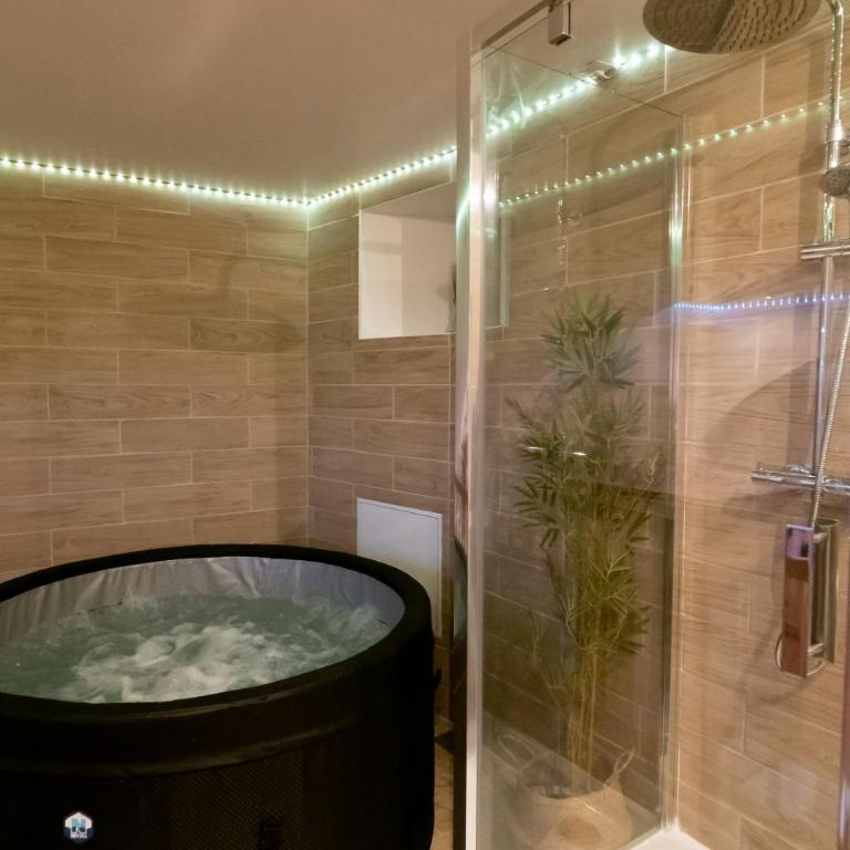 Le Spa de la Cathédrale - Jacuzzi - Sauna - Champagne - Netflix - Wifi - Appartement Supérieur avec Sauna - 5