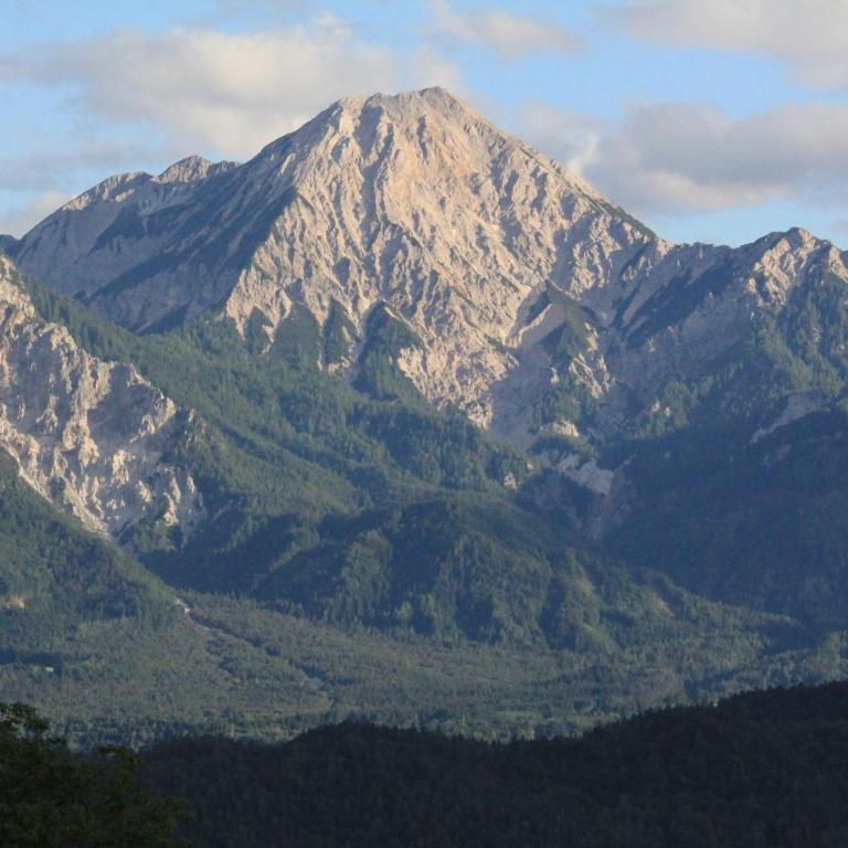 Bauerborchardt - Urlaub am Bauernhof bei Familie Borchardt - Doppelzimmer mit Balkon und Gemeinschaftsbad - 3