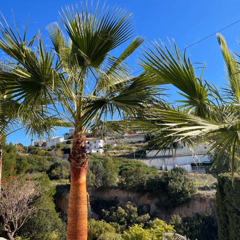 Casa Biamar - Two-Bedroom Apartment - 26