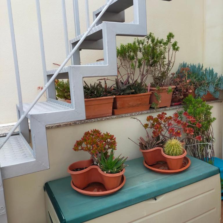 alghero superattico vista mare - One-Bedroom Apartment - 9
