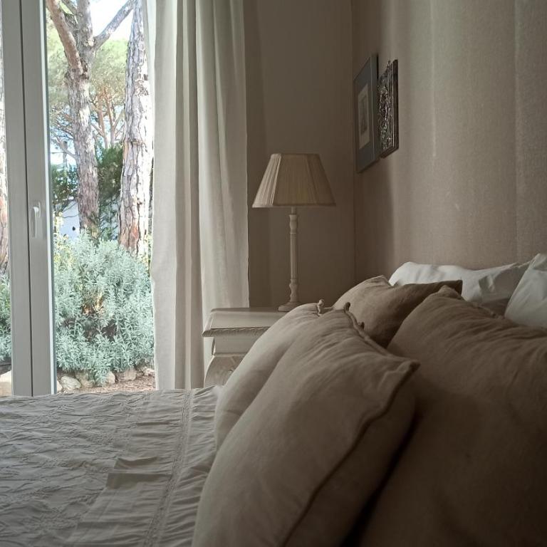 Diseño y luz entre los pinos - Casa - 34