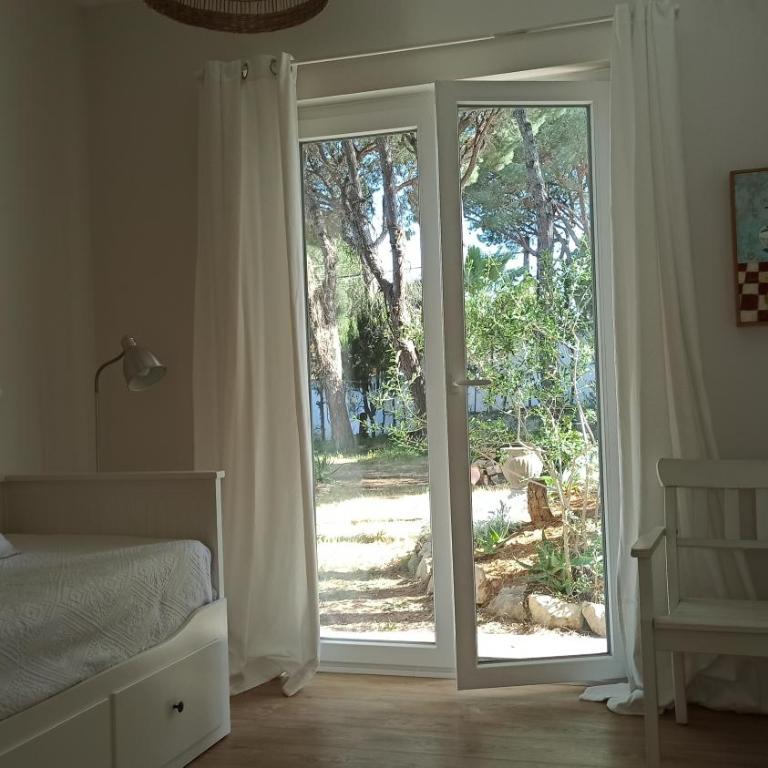 Diseño y luz entre los pinos - Casa - 29