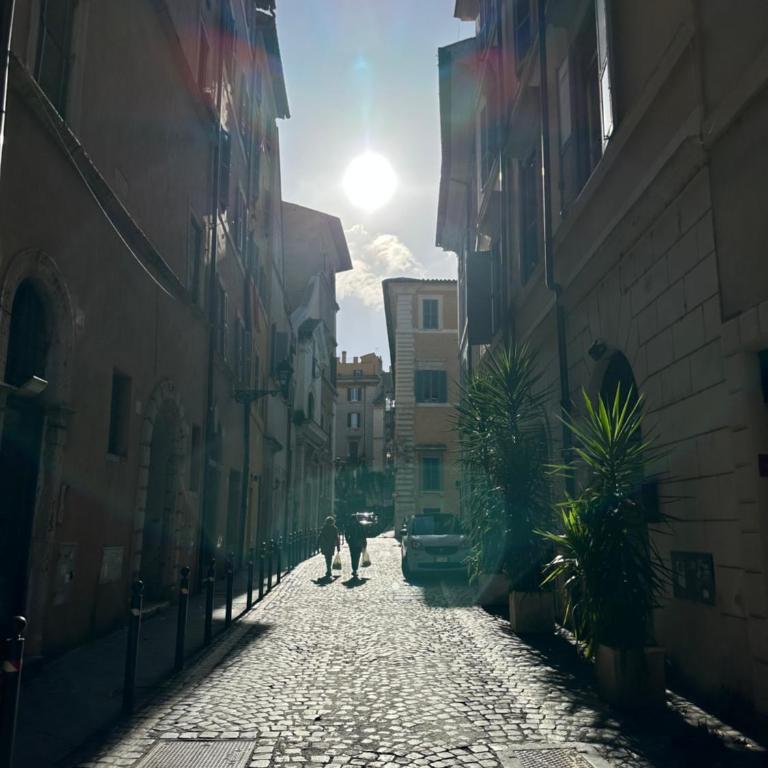 ROMA centro storico piazza Navona San Pietro a piedi - Appartamento con 1 Camera da Letto - 8