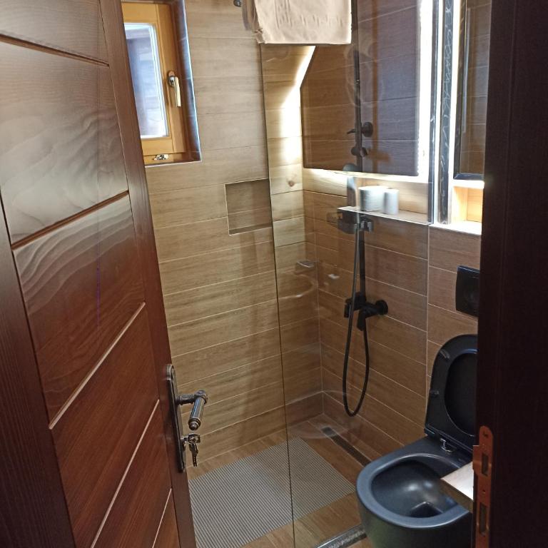 Rooms and apartmants Mirovic - Bungalov - pored Vode - 19