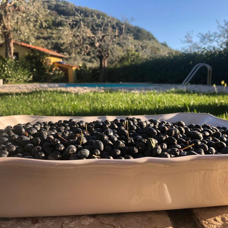 B&B La Quiete - Apartment - 31