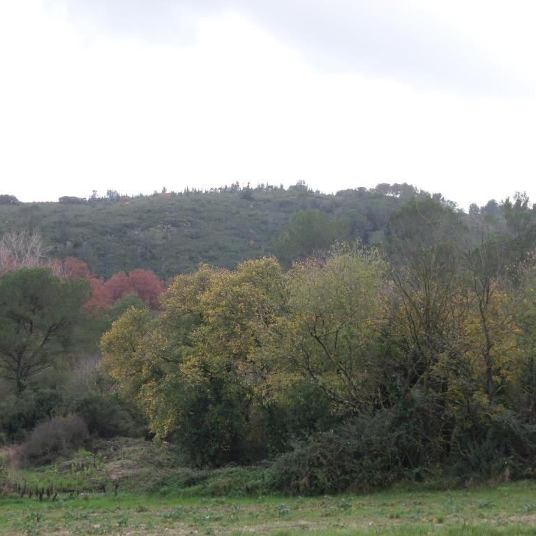 APPART'18 - DOMAINE DE LA SOURCE - Appartement 1 Chambre - 47