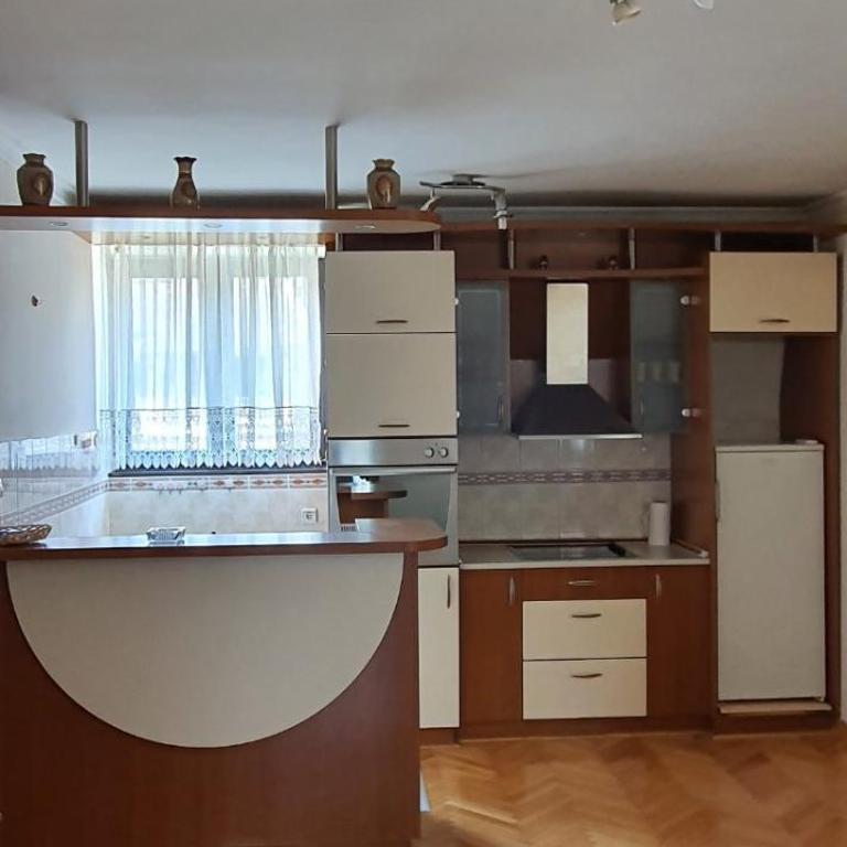 Apartman Stojanovic - Apartman sa 1 Spavaćom Sobom - 1