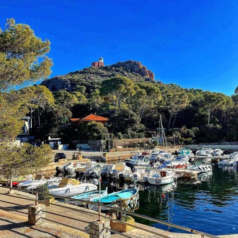 Cap Esterel Studio climatisé vue mer partielle - Appartement 1 Chambre - 31