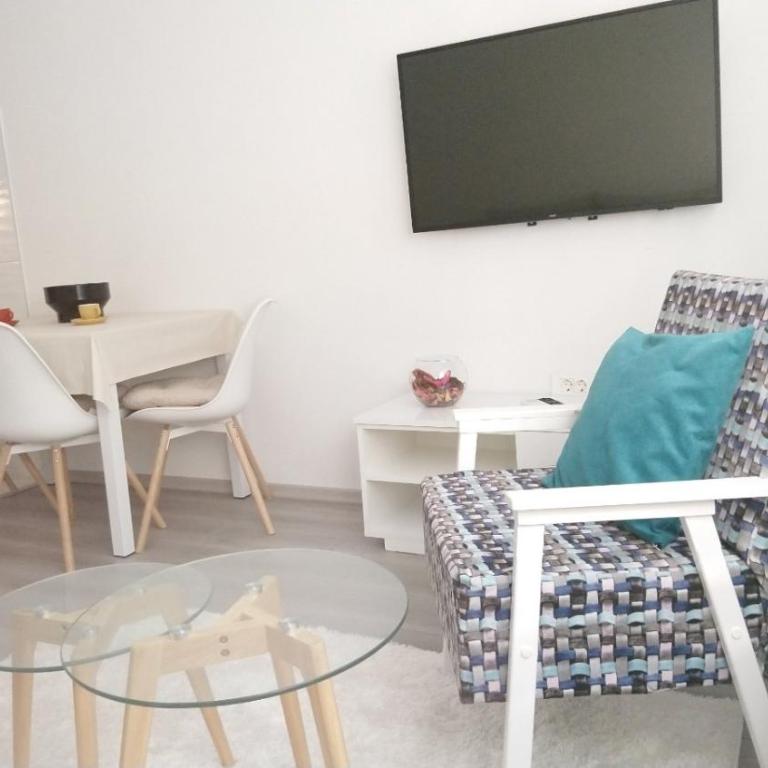 Apartman Downtown - Apartman sa 1 Spavaćom Sobom - 6