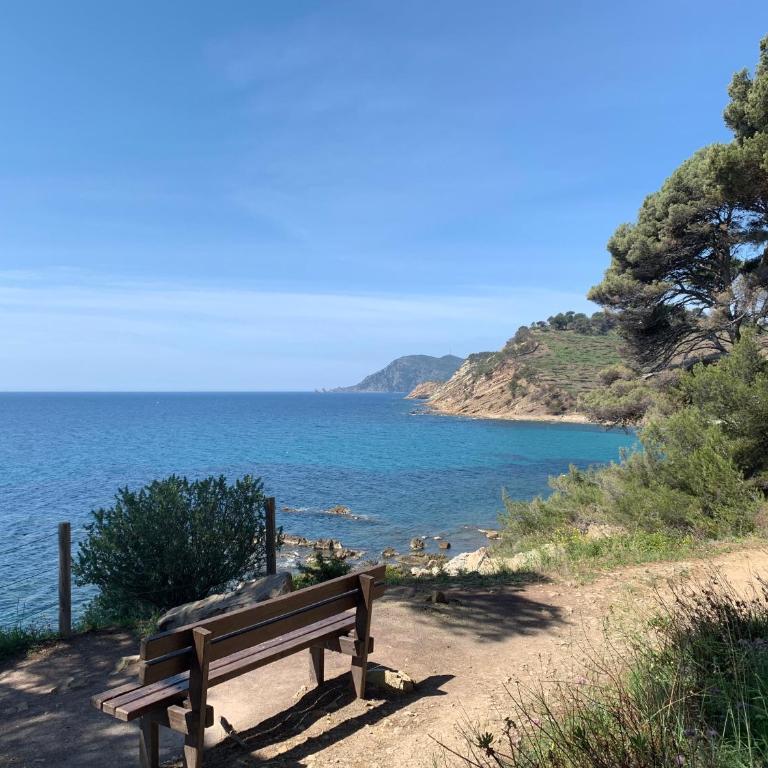 Appartement climatisé entre plage et port de Saint Mandrier - Apartment mit Gartenblick - 27