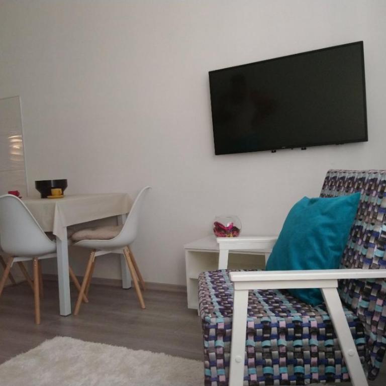Apartman Downtown - Apartman sa 1 Spavaćom Sobom - 5