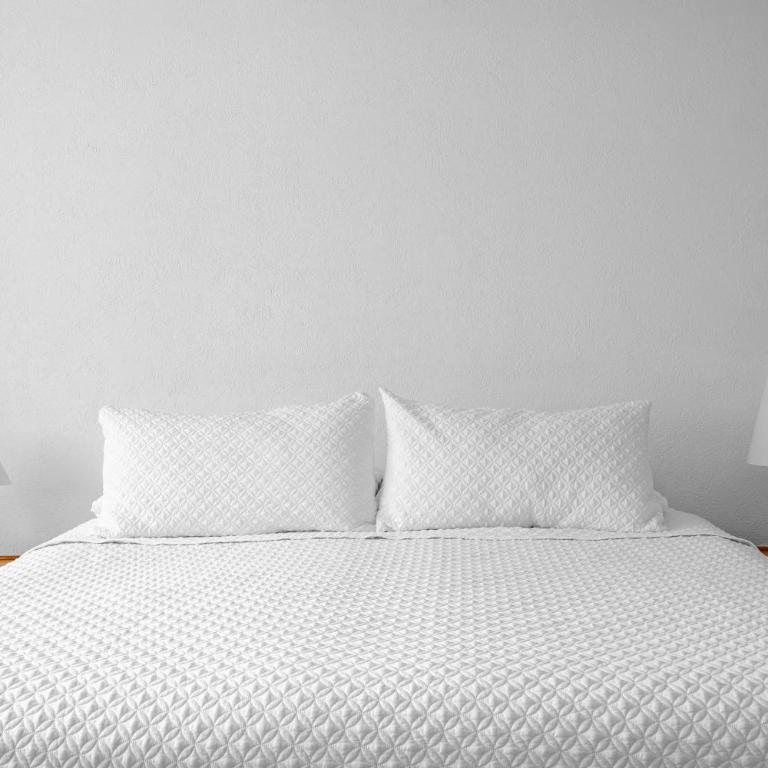 Senda Stays Coyoacan - 6BR Casa and Garden Steps from Frida Kahlo - Six-Bedroom House - 30
