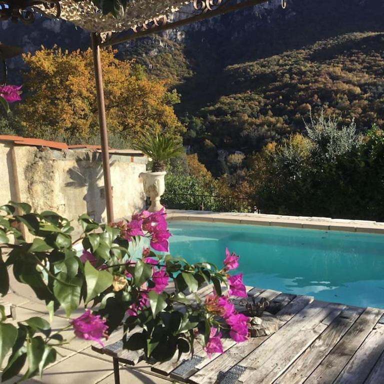 Charmante maison avec piscine - Studio - 1