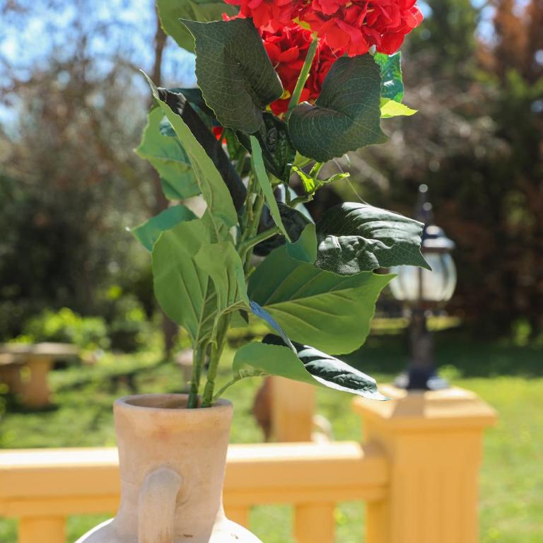 Casa Elizabeth - Villa - 45