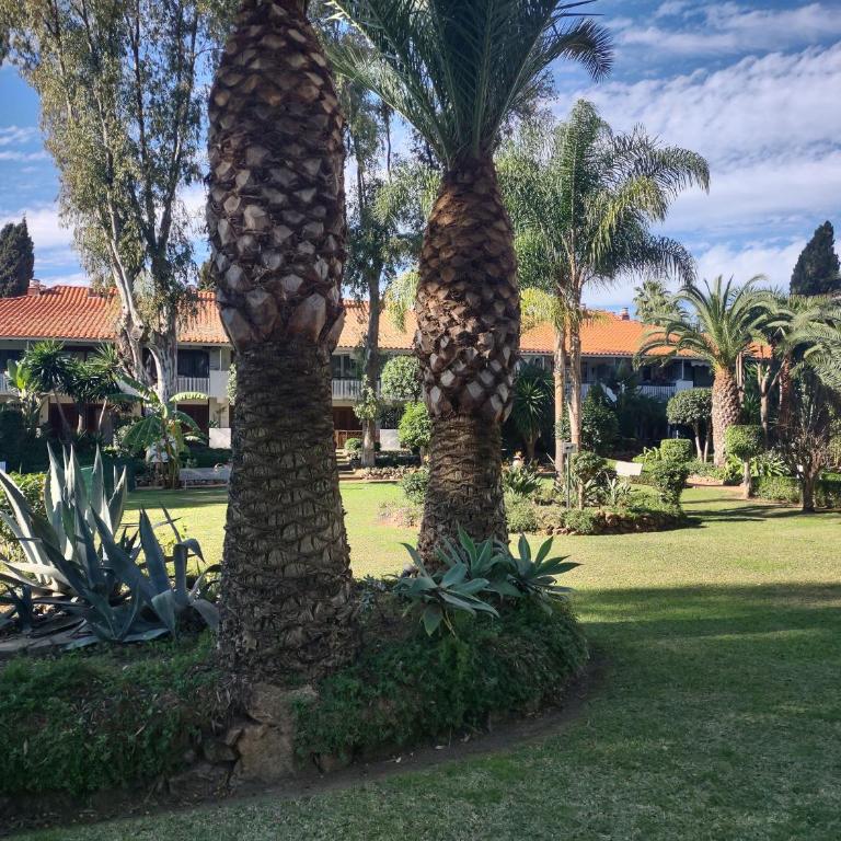 Puerto Banus Apartment near beachfront, big sunny terrace, pool, tennis court, parking & movies projector - One-Bedroom Apartment - 43
