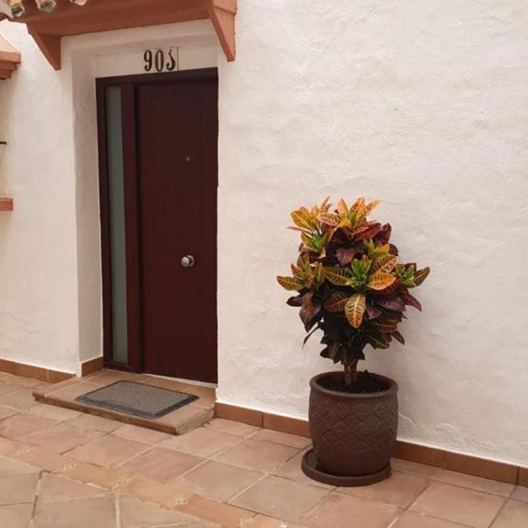 Puerto Banus - Apartamento de 3 dormitorios - 8