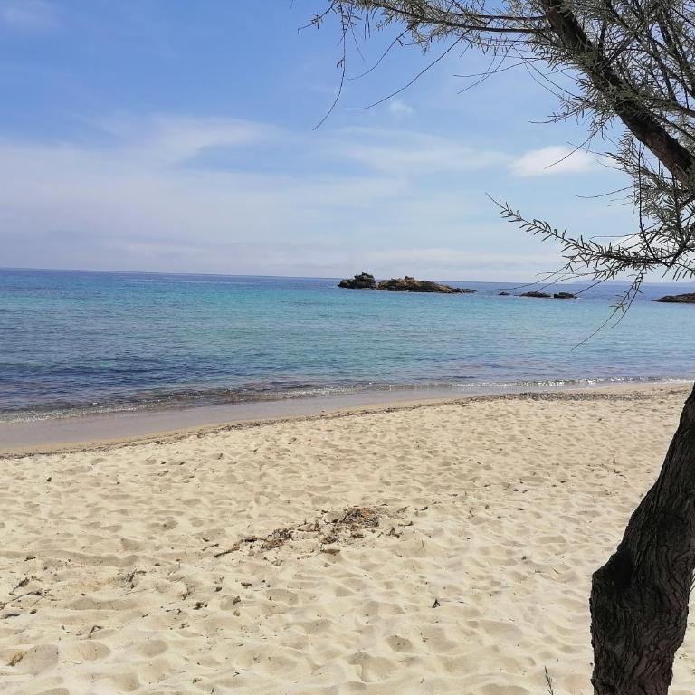 Les Iles d' Or Appartement - Apartamento de 1 dormitorio - 38