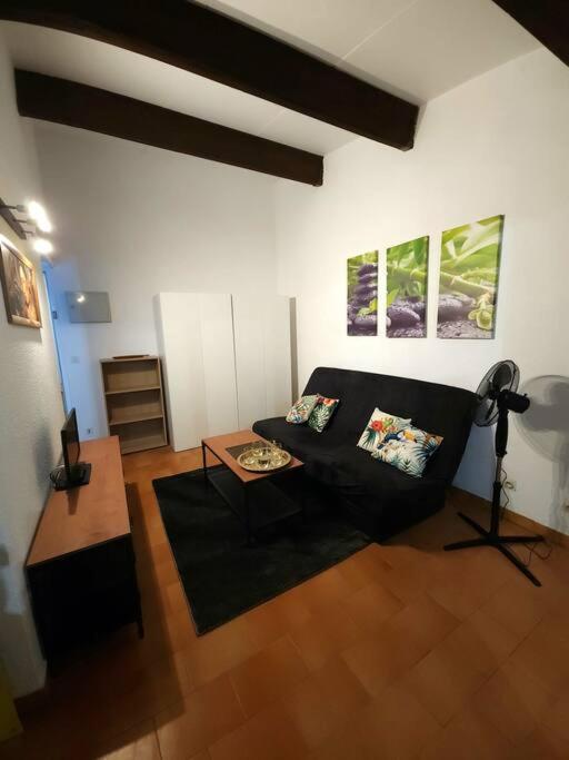 A 8 mn A PIED DES PLAGES APPARTEMENT AVEC PISCINE ET TENNIS - Appartement 1 Chambre - 6