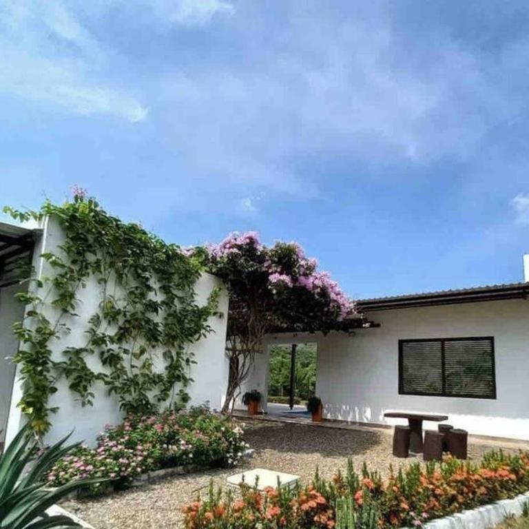 Extraordinaria casa con piscina y pura naturaleza Honda - Casa de 4 dormitorios - 13