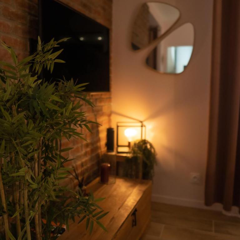Studio cœur de ville sanary très cosy parking - Apartment mit 1 Schlafzimmer - 18