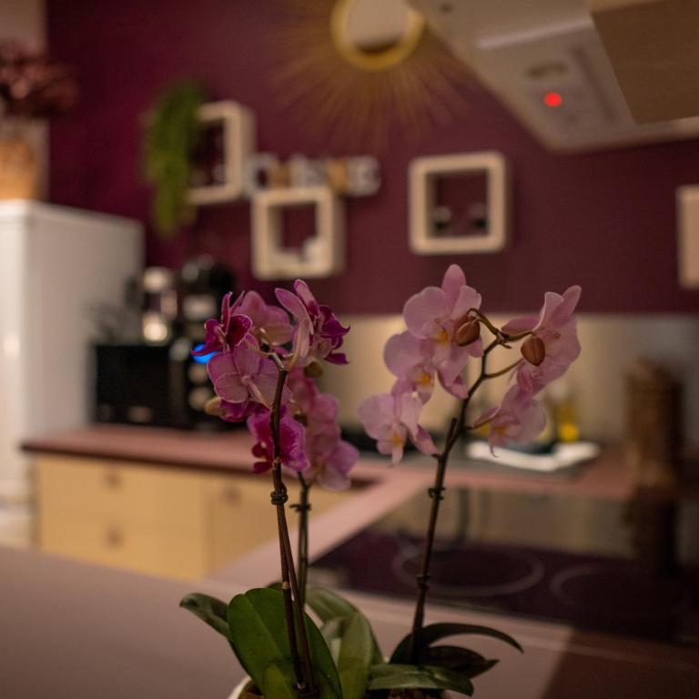Studio cœur de ville sanary très cosy parking - Apartment mit 1 Schlafzimmer - 12