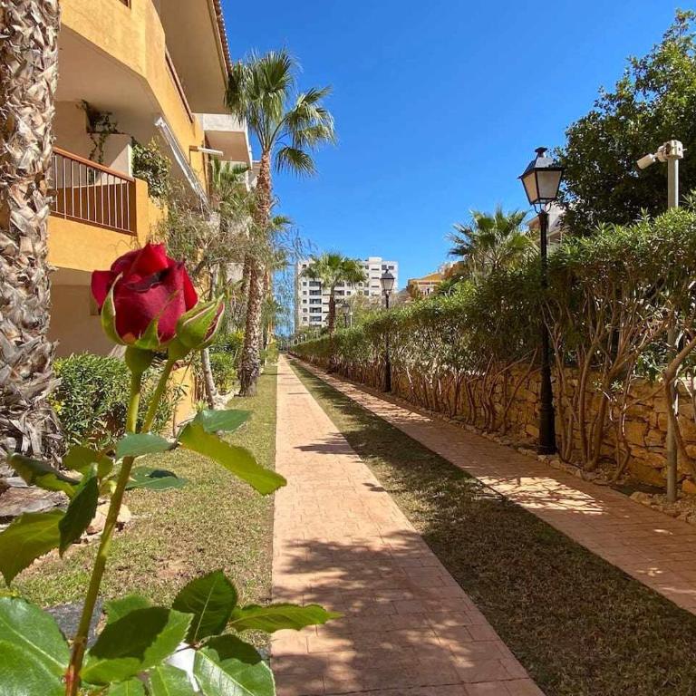 Acogedor apartamento al lado de la playa! - Two-Bedroom Apartment - 22