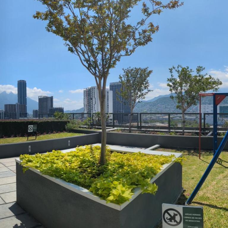 Luxury Loft Monterrey City Living at Landmark High Rise - Deluxe Apartment - 11