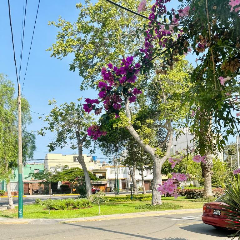 Casa Verde Jesús María - Zona Residencial - Double Room with Private Bathroom - 28